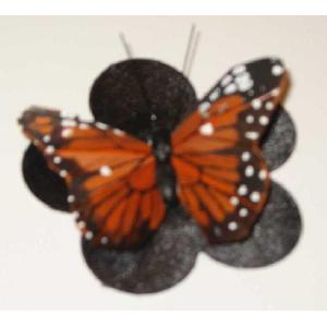 Black 5 Petals Nipple Cover with Monarch Butterfly Image