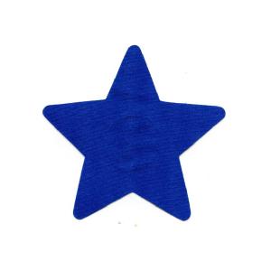 NIPPLE COVER PASTIES BLUE STAR 5 point Image