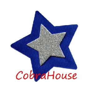 3D 2" SILVER Glitter Star on Blue Star Image