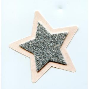 3D 2" SILVER Glitter Star on Nude Star Image